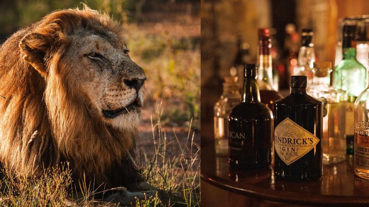 Geiger'S Camp In Timbavati Game Reserve By Newmark Kültér fotó
