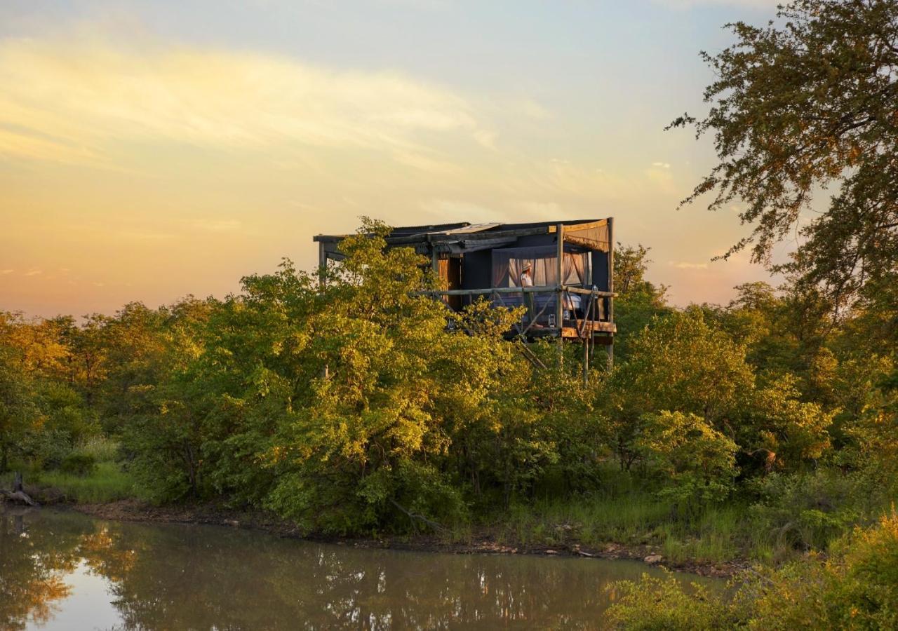 Geiger'S Camp In Timbavati Game Reserve By Newmark Kültér fotó